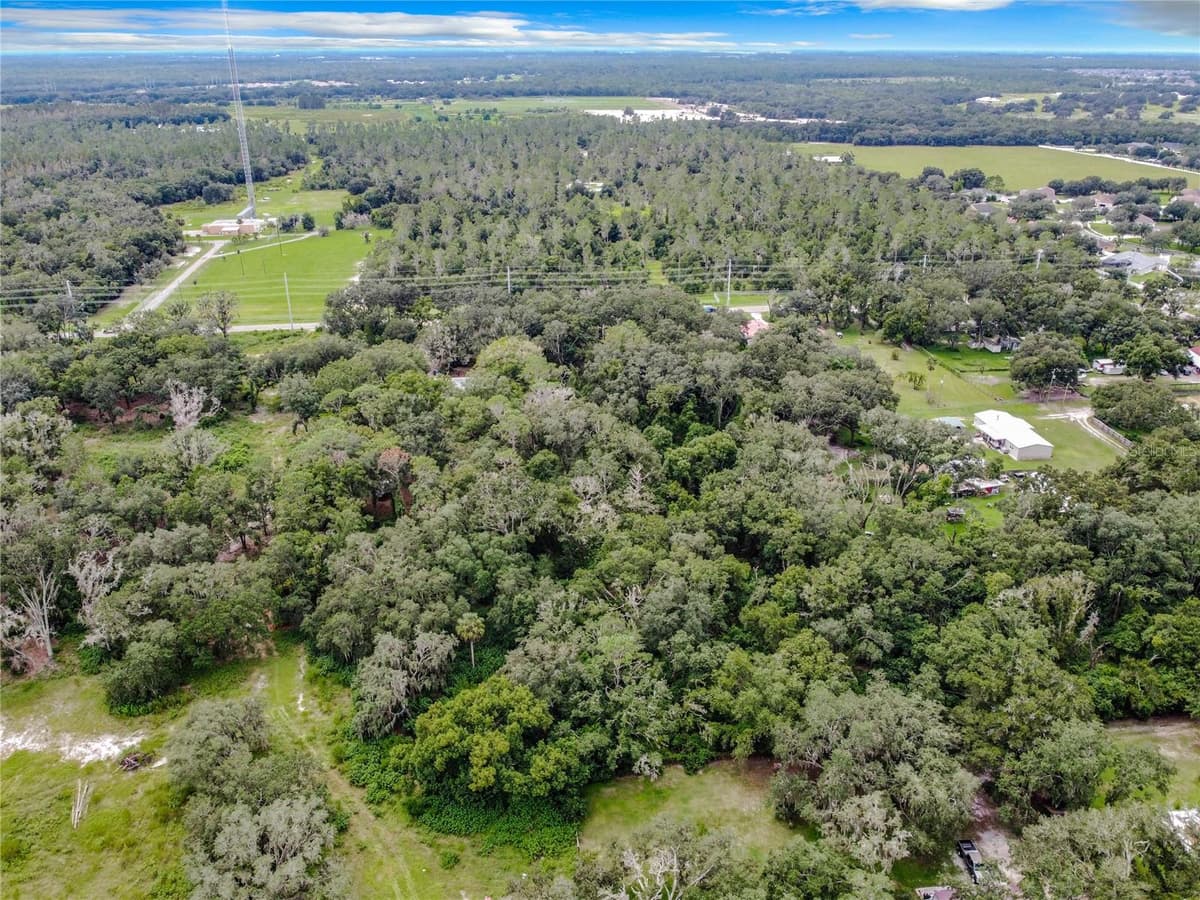 16206 BOYETTE ROAD — photo 5 of 16