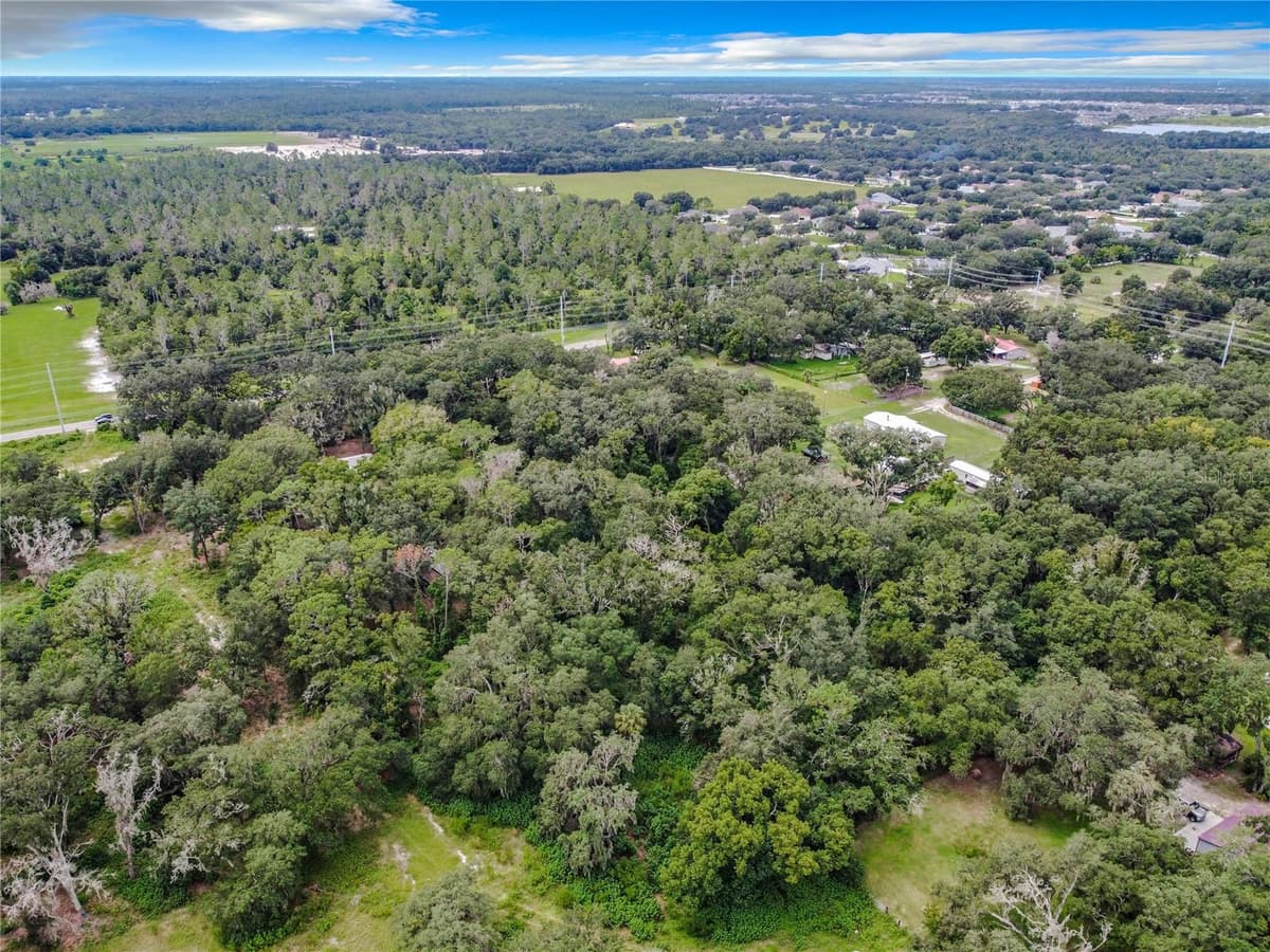 16206 BOYETTE ROAD — photo 4 of 16