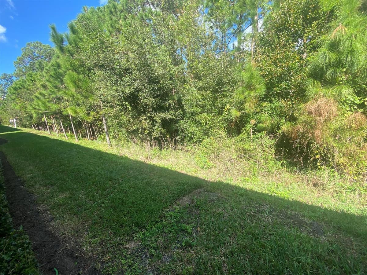 1561 VIENNA SQUARE DRIVE — photo 33 of 44