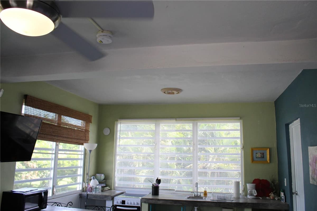 236 ACACIA — photo 47 of 83