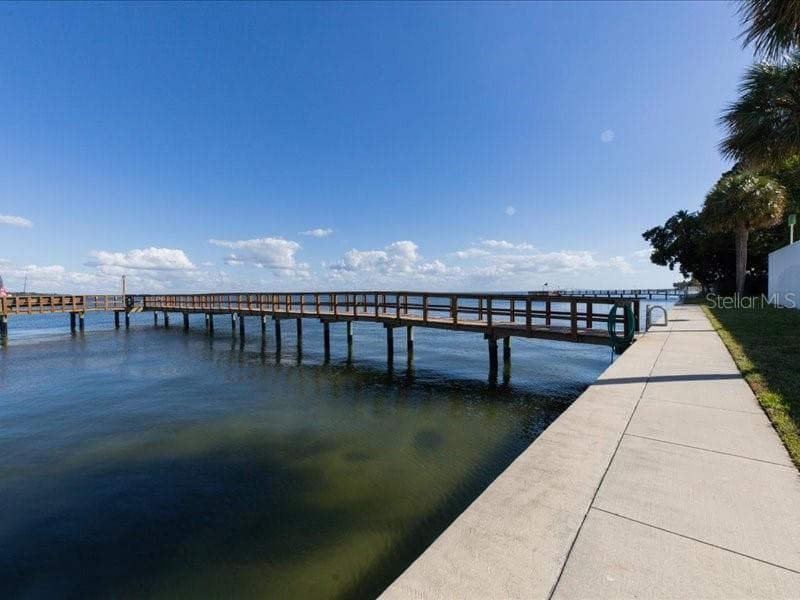 7100 SUNSHINE SKYWAY LANE — photo 50 of 60