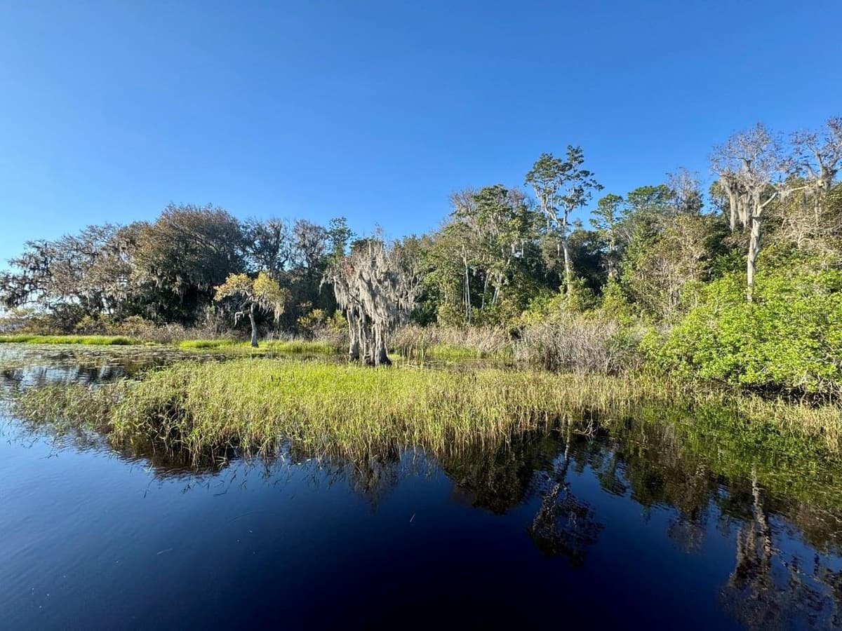 45202 NFS RD 572-B — photo 41 of 50