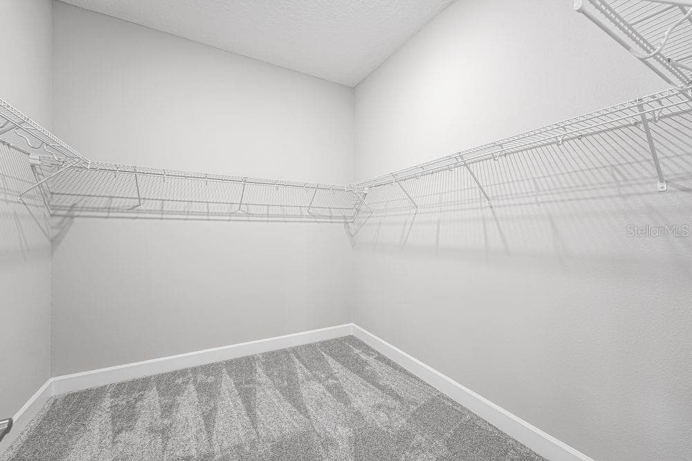 919 TASSLEFLOWER TRAIL — photo 18 of 32