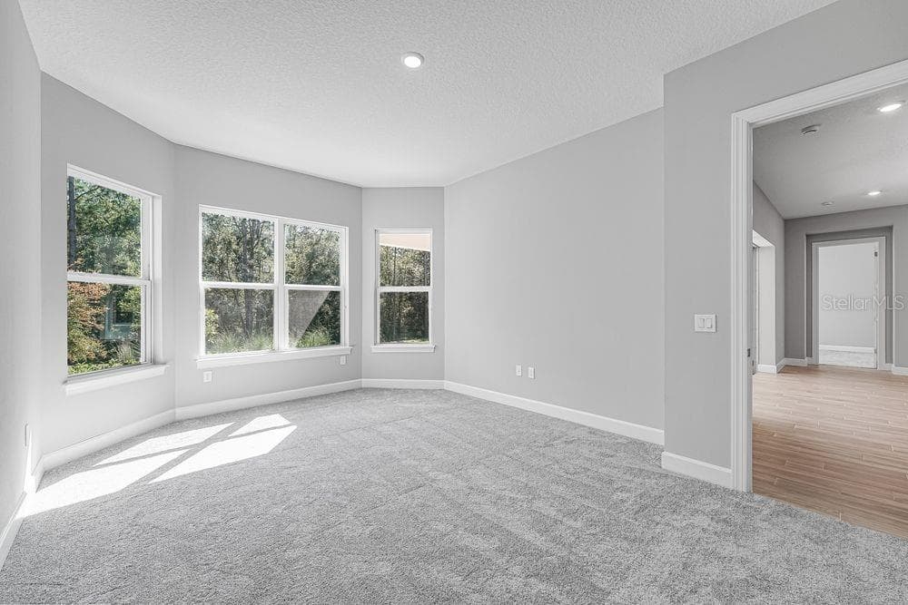 919 TASSLEFLOWER TRAIL — photo 15 of 32