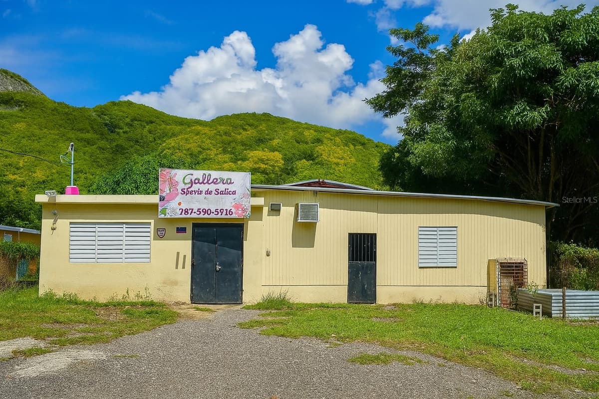 Barrio Quebrada Yeguas LA PLENA 94 — photo 1 of 24