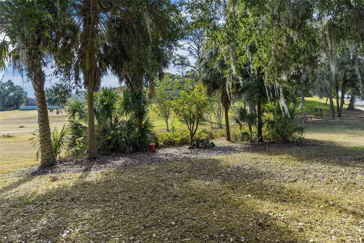 39320 HARBOR HILLS BOULEVARD — photo 50 of 71