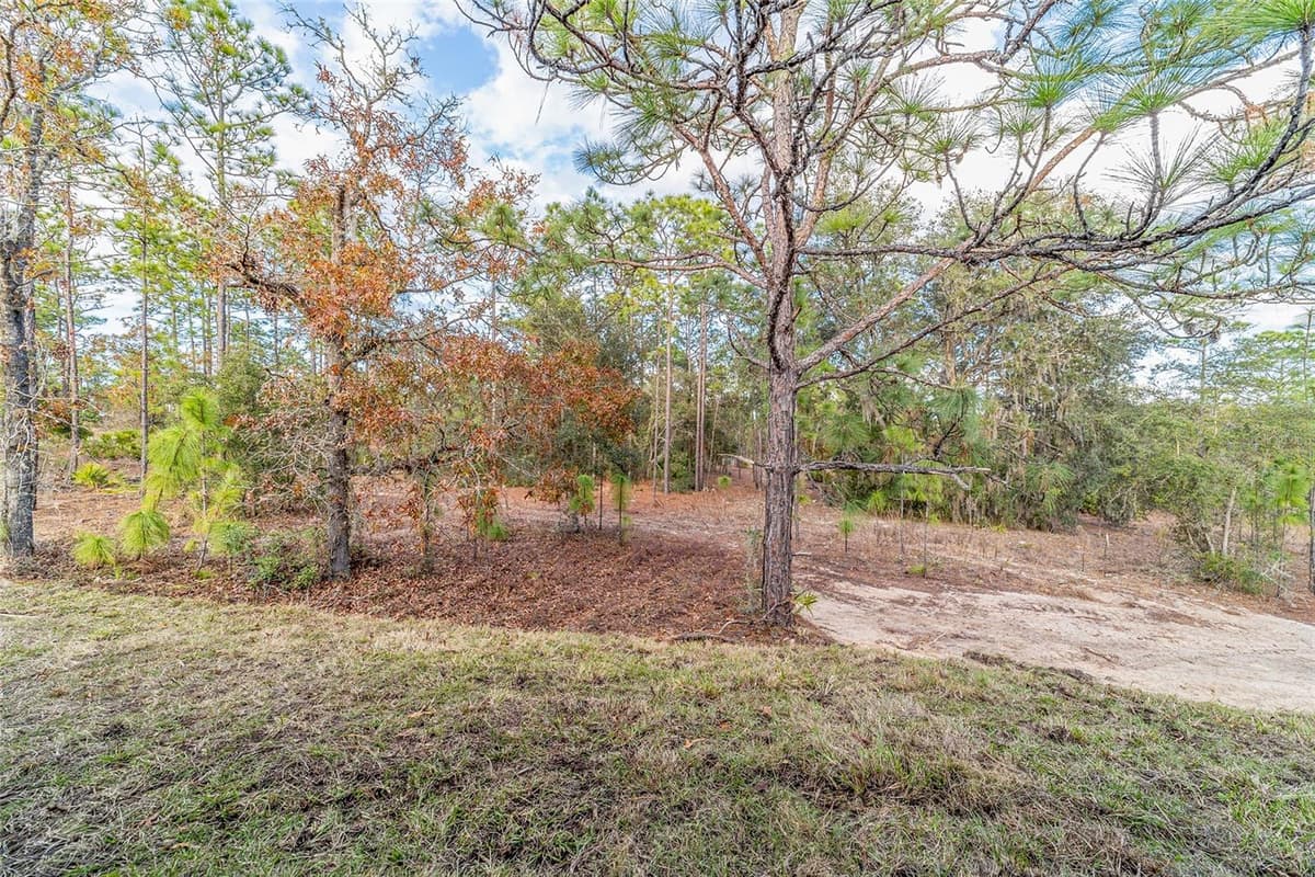 11457 CONDOR DRIVE — photo 19 of 19