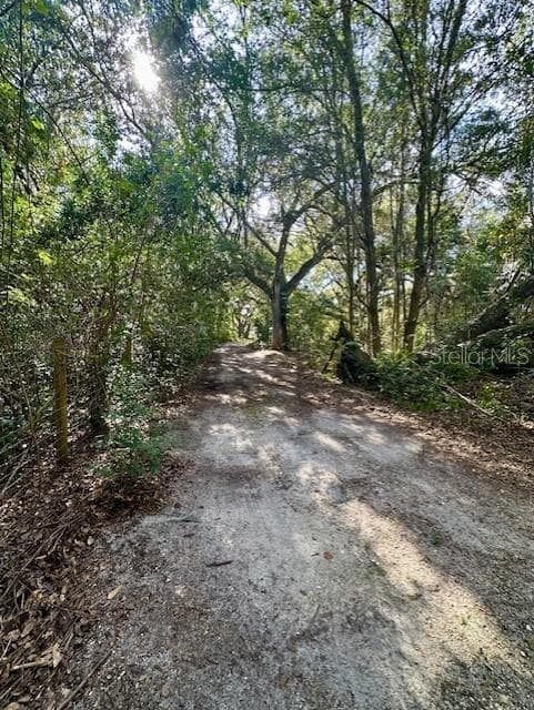 1918 MOUNTAIN LAKE CUTOFF ROAD — photo 37 of 38