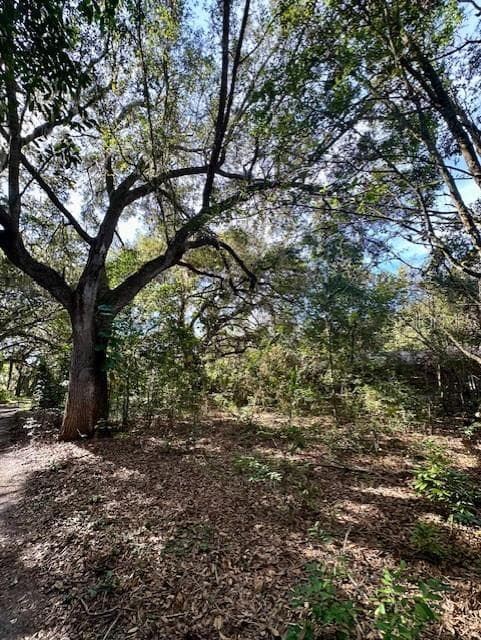 1918 MOUNTAIN LAKE CUTOFF ROAD — photo 36 of 38