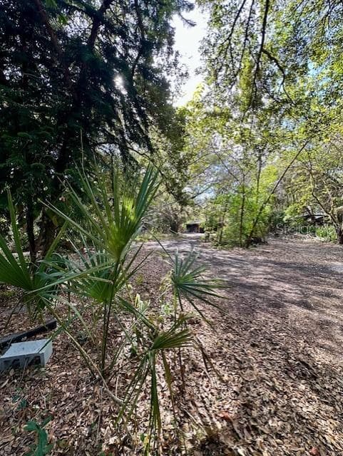 1918 MOUNTAIN LAKE CUTOFF ROAD — photo 34 of 38