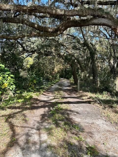 1918 MOUNTAIN LAKE CUTOFF ROAD — photo 33 of 38
