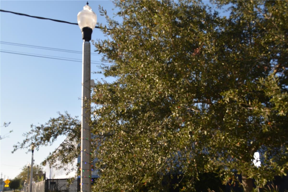 1006 HISTORIC GOLDSBORO — photo 7 of 9
