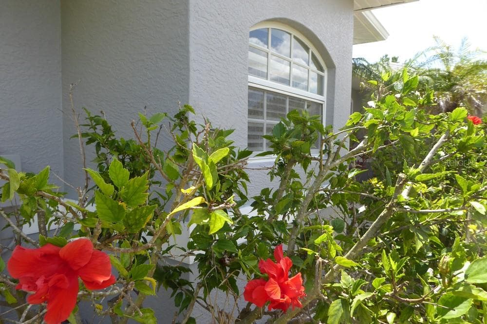 328 BAYTREE DRIVE — photo 4 of 34