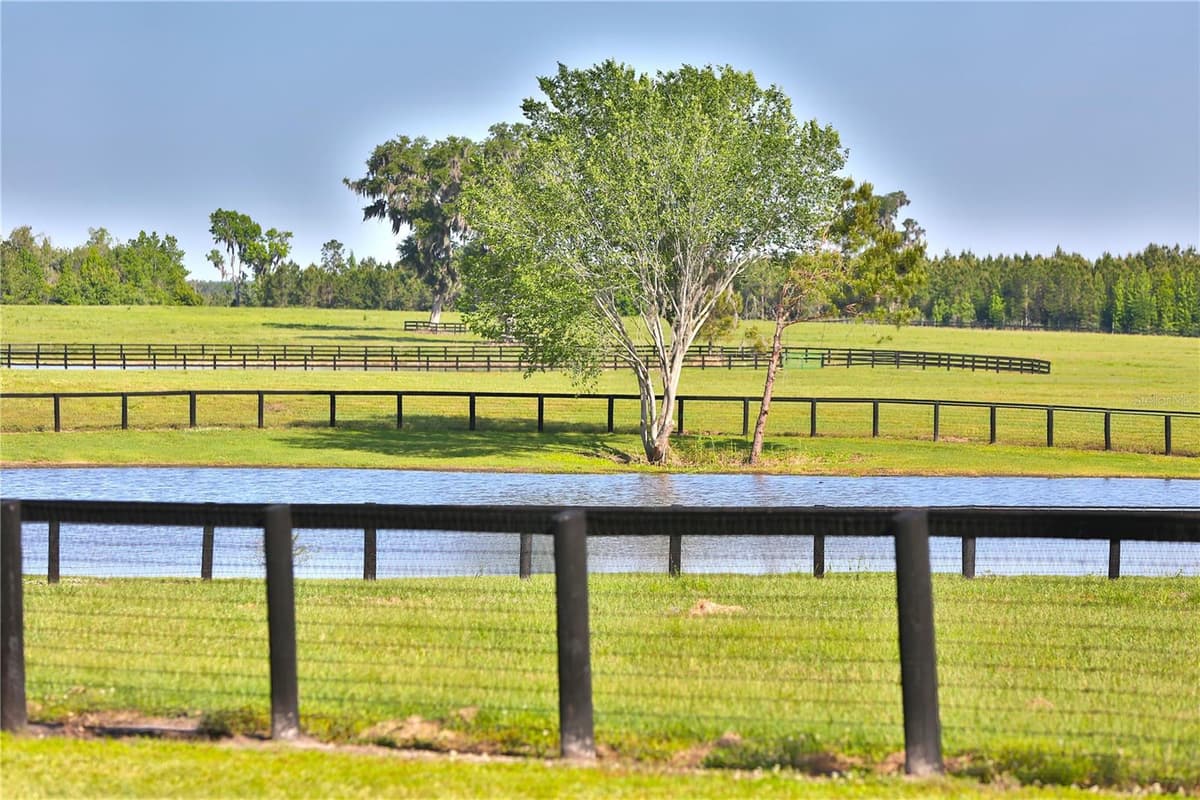 13375 HIGHWAY 318 — photo 33 of 56