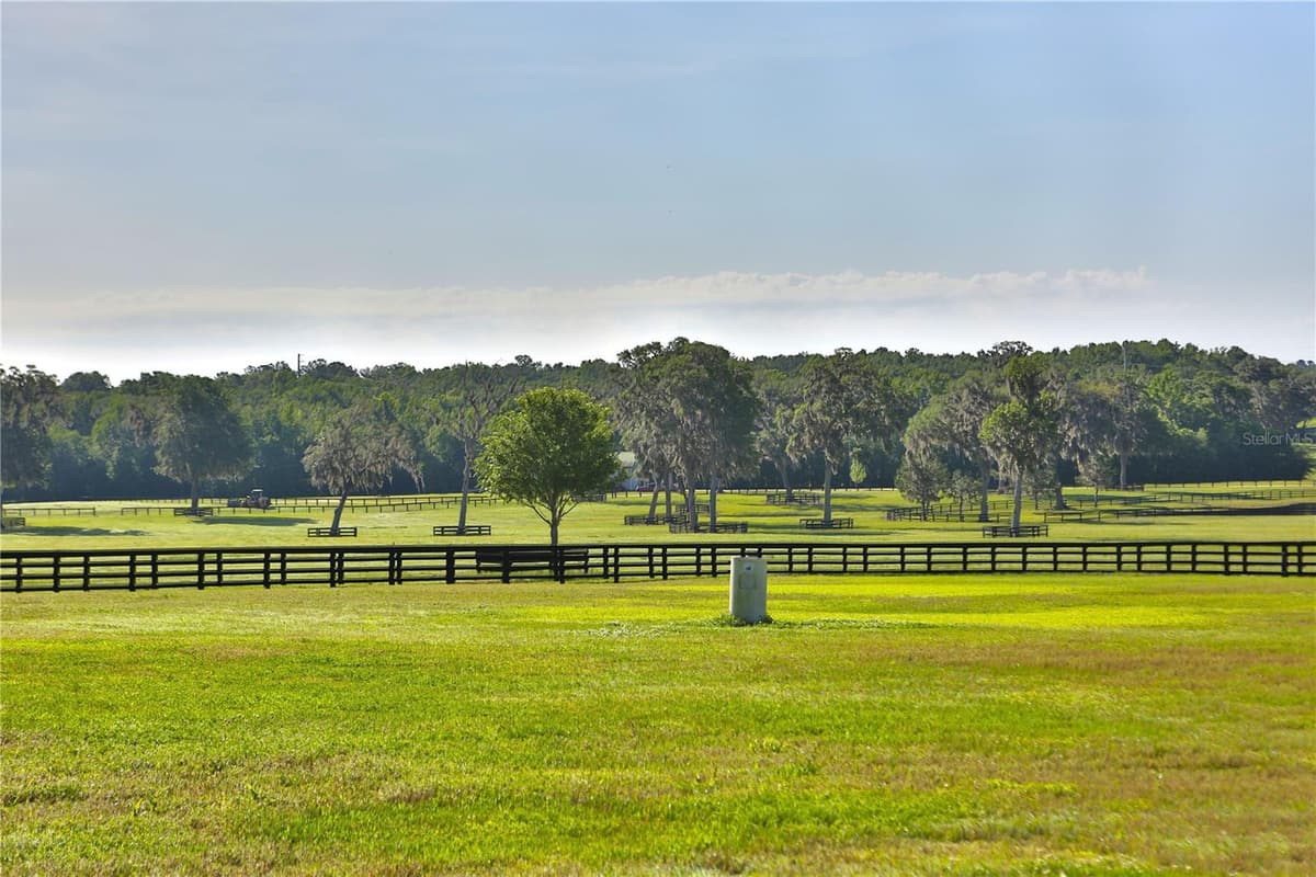 13375 HIGHWAY 318 — photo 18 of 56