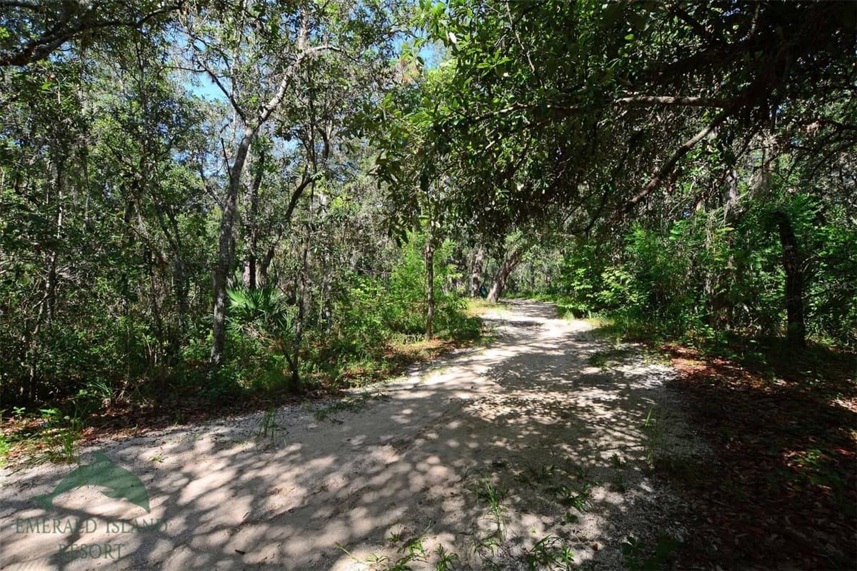 8511 LA ISLA DRIVE — photo 76 of 79