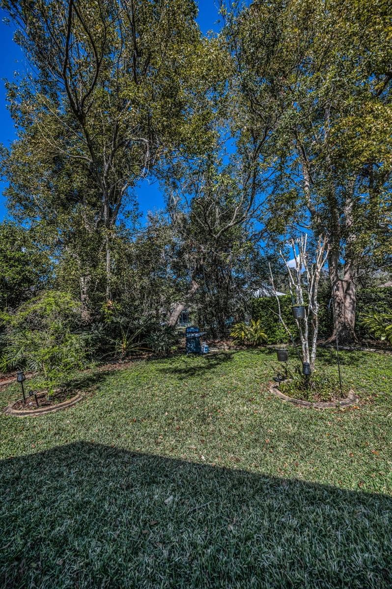 11427 TURTLE DOVE PLACE — photo 51 of 100