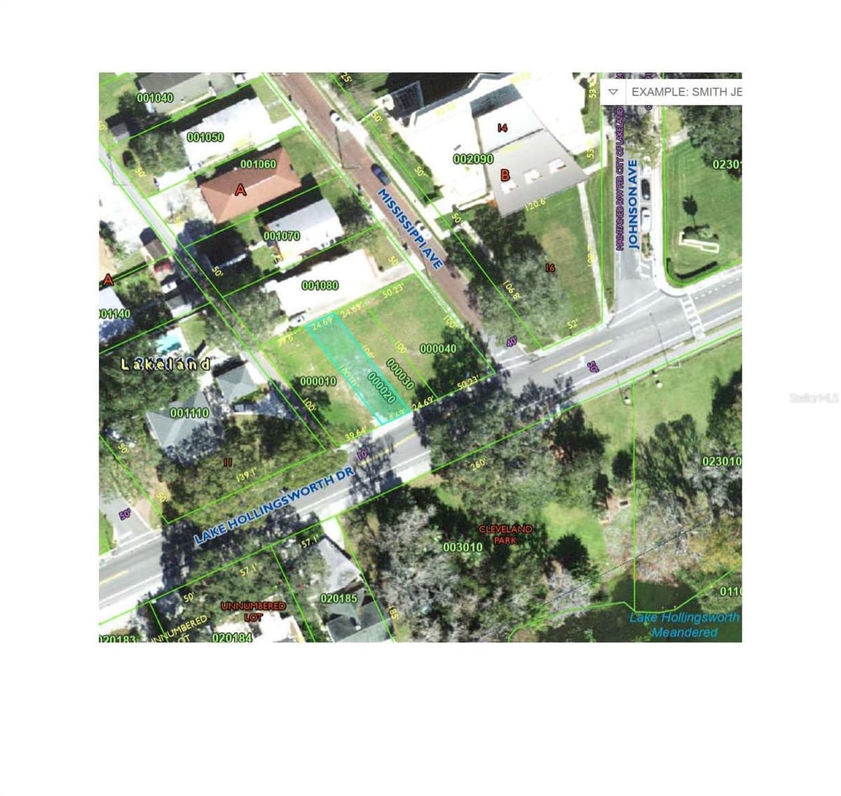 25 LAKE HOLLINGSWORTH DRIVE — photo 10 of 13