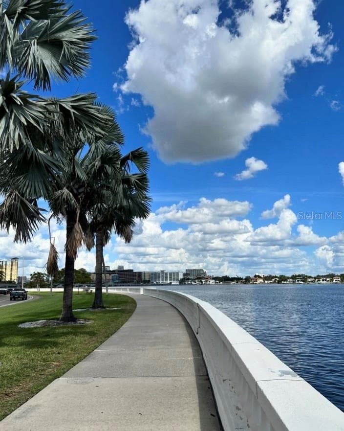 5231 BAYSHORE BOULEVARD — photo 42 of 42