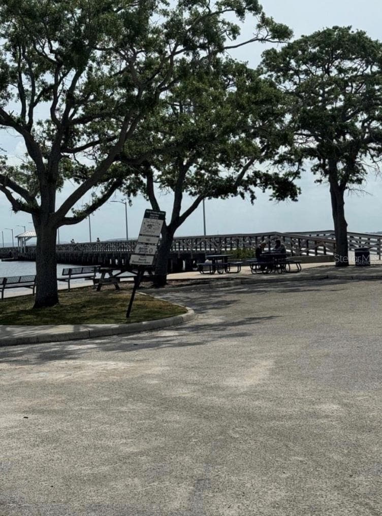 5231 BAYSHORE BOULEVARD — photo 38 of 42