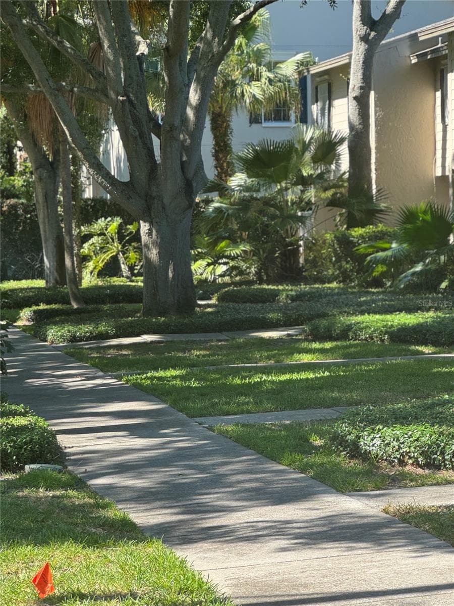 5231 BAYSHORE BOULEVARD — photo 2 of 42