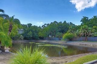 5231 BAYSHORE BOULEVARD — photo 35 of 42