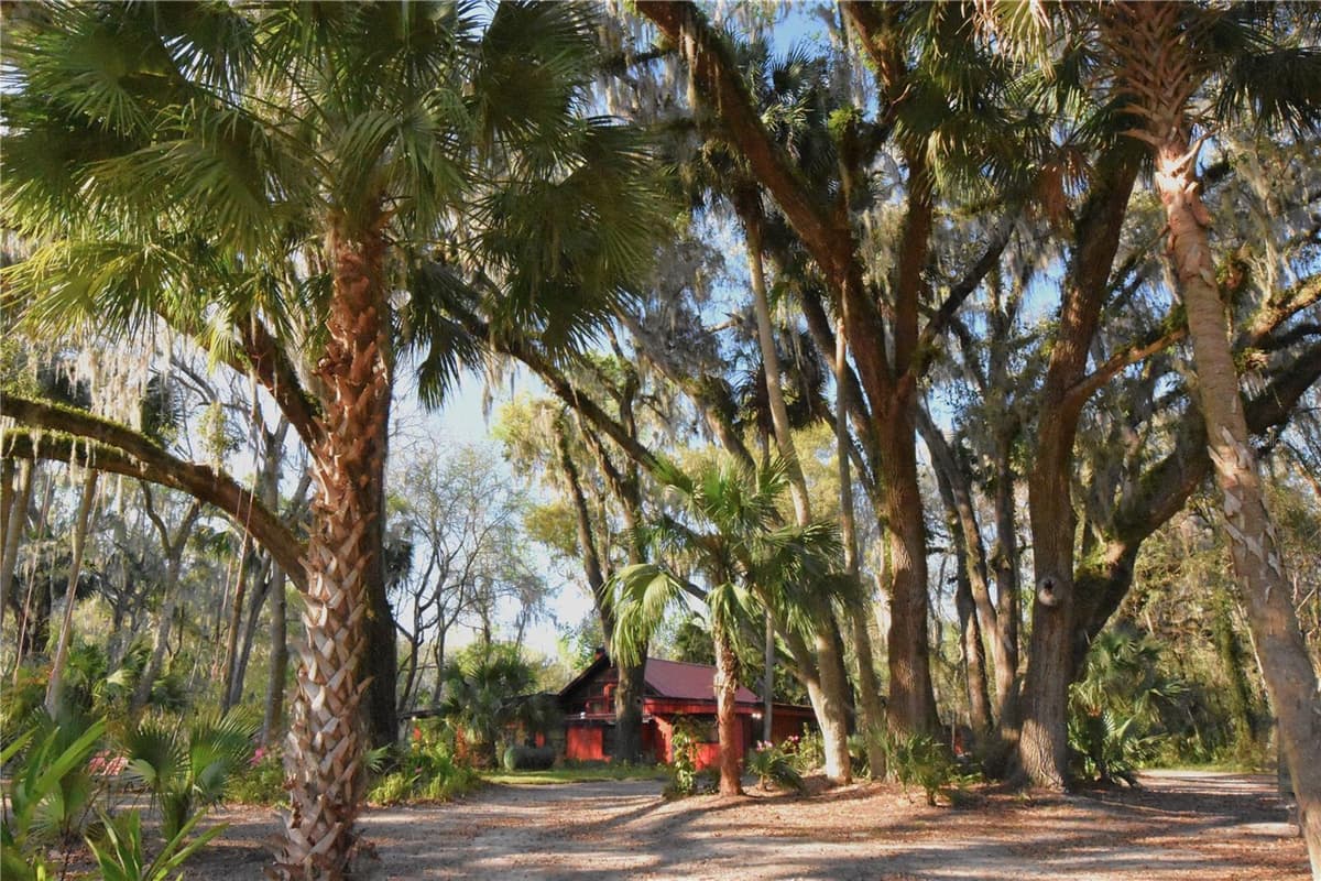 1302 WACAHOOTA ROAD — photo 1 of 67