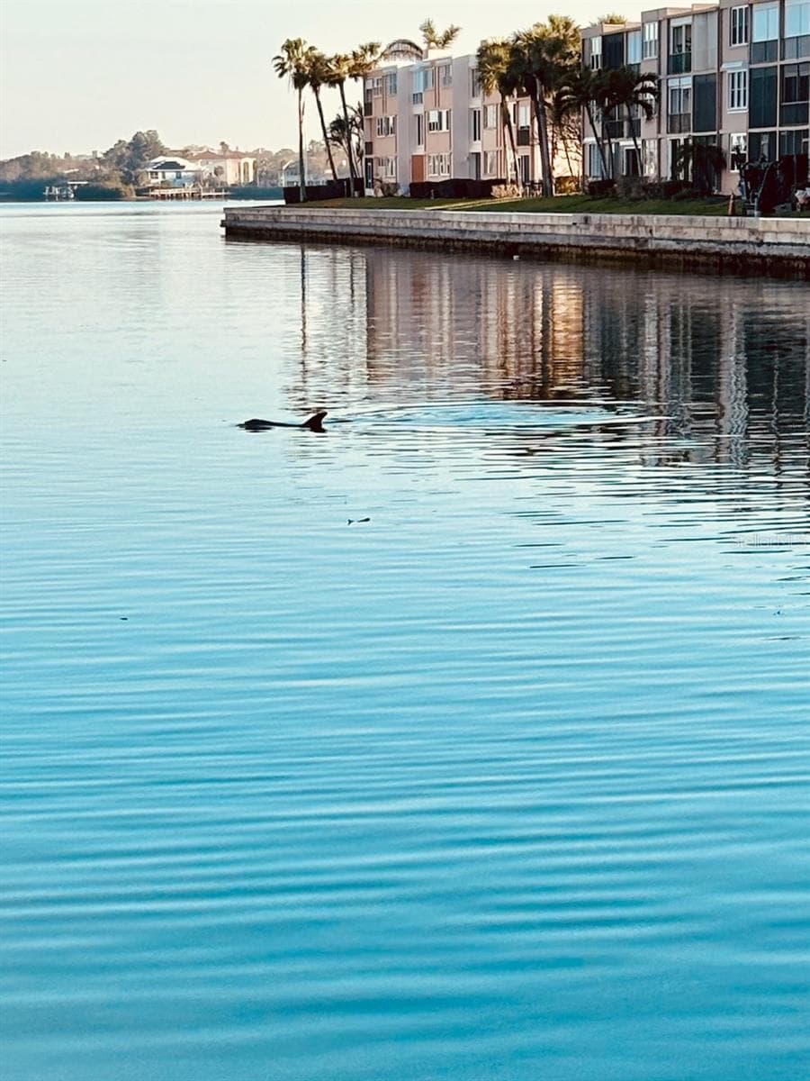 7700 SUN ISLAND DRIVE — photo 9 of 100