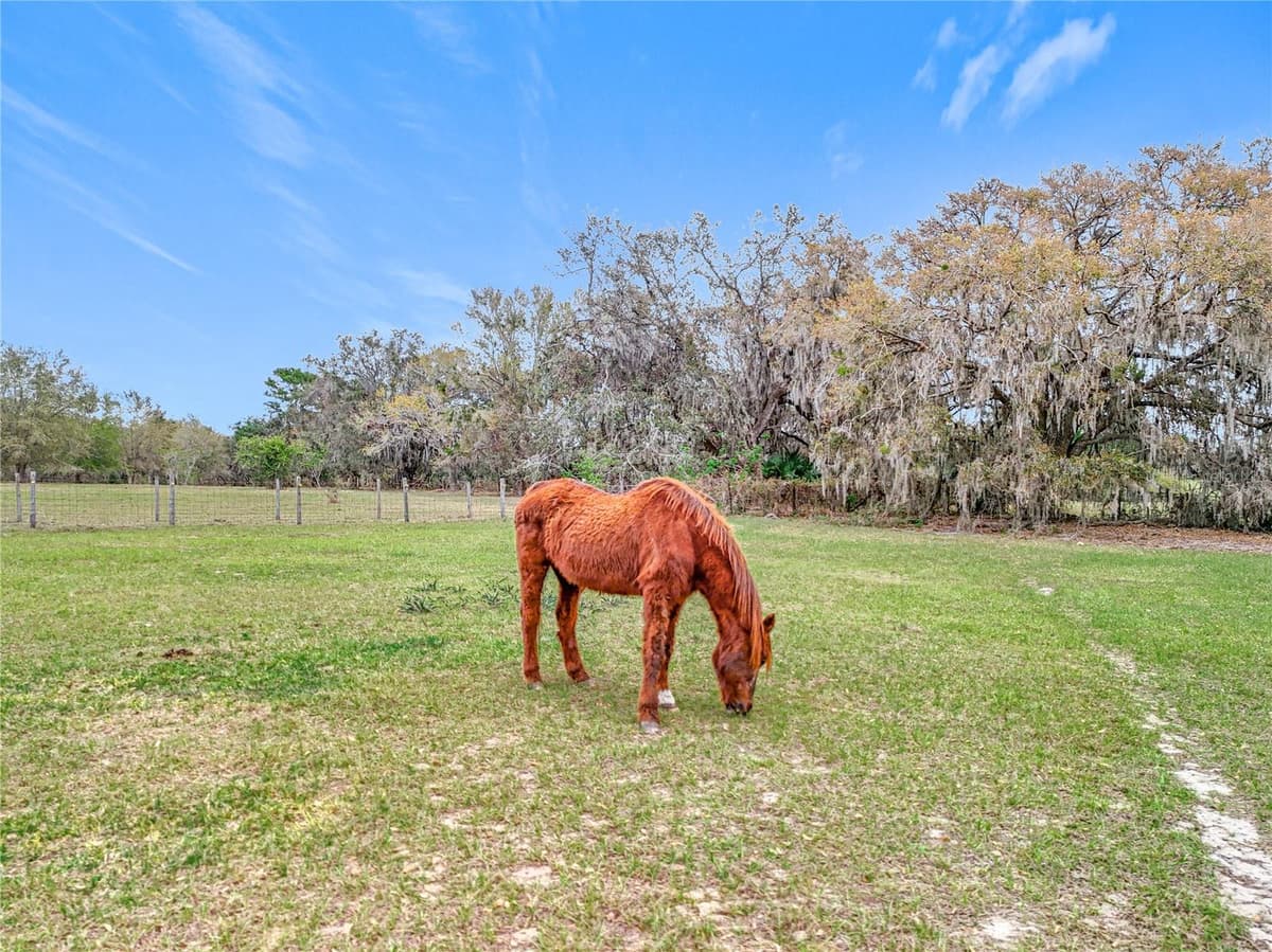 41204 EMERALDA ISLAND ROAD — photo 34 of 53