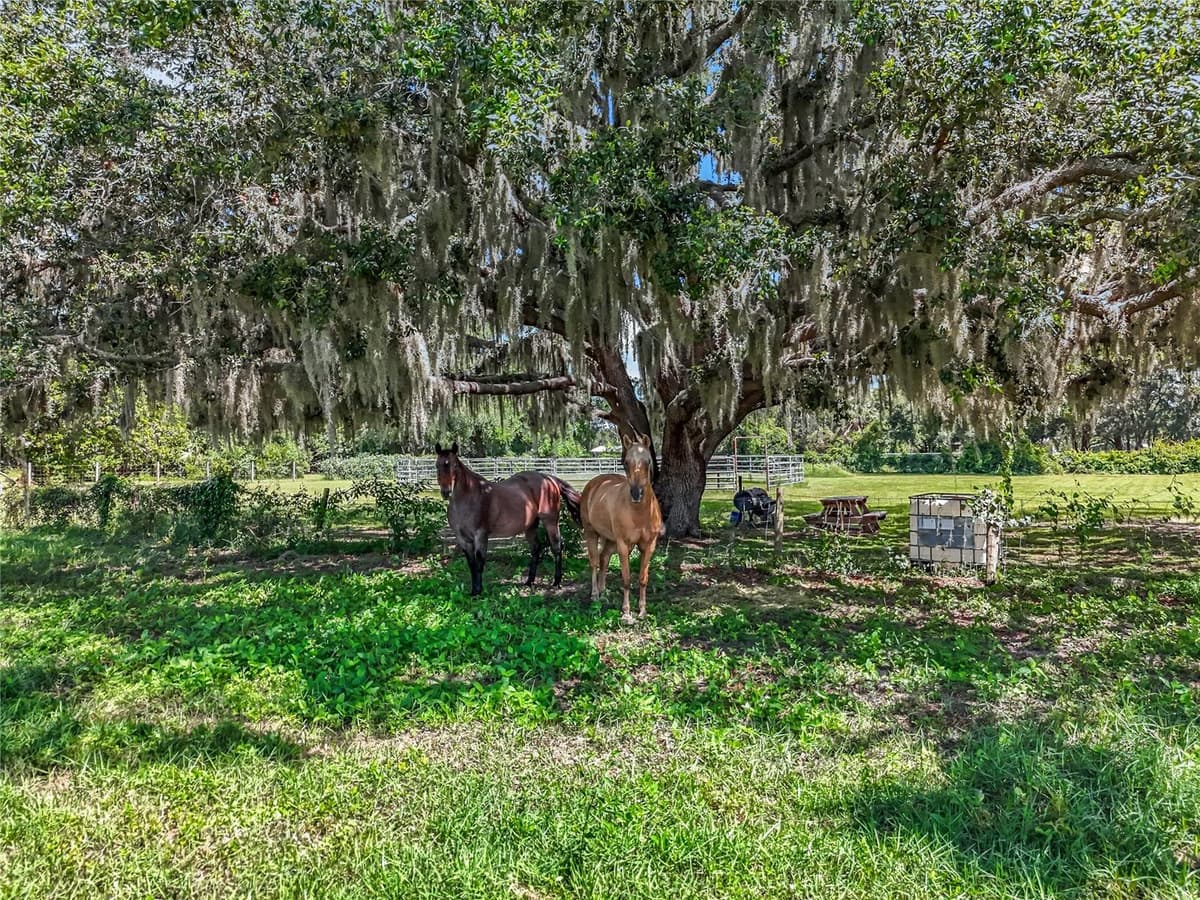 41204 EMERALDA ISLAND ROAD — photo 46 of 53