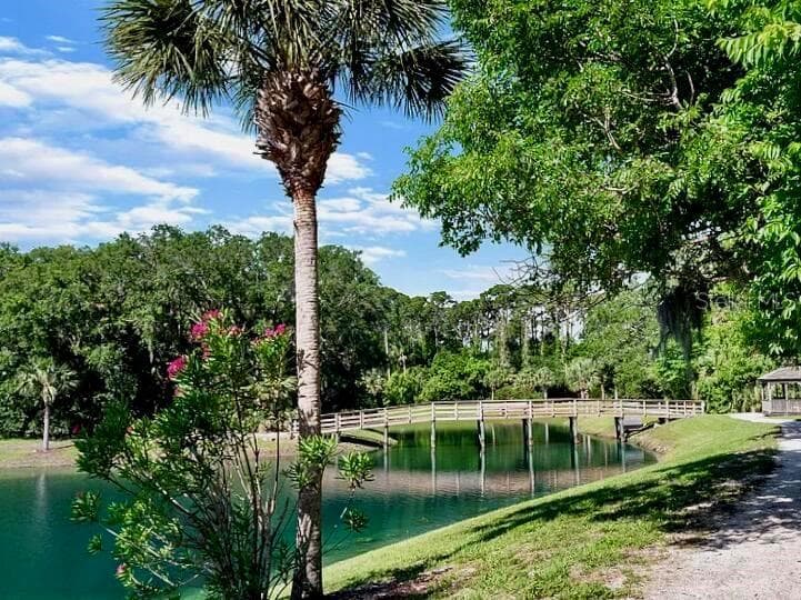 800 CANOPY WALK LANE — photo 41 of 42
