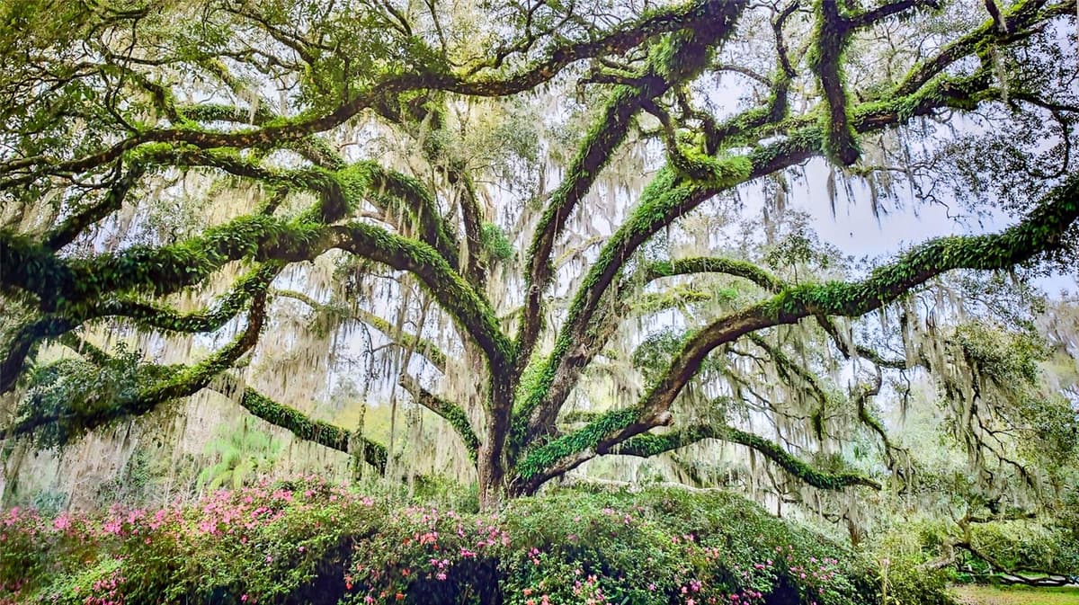 1 HAMMOCK BEACH PARKWAY — photo 20 of 53