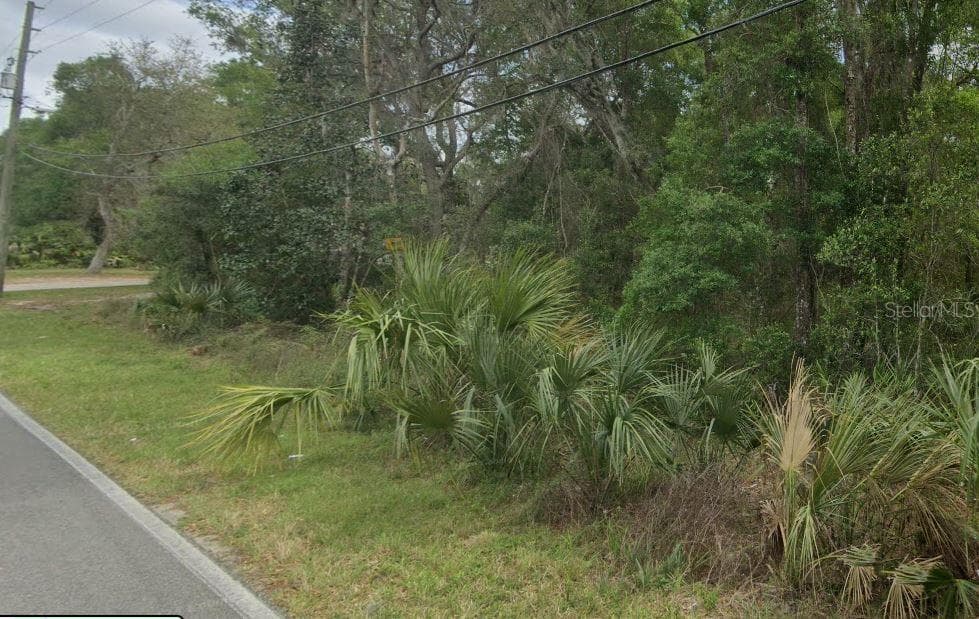 REYNOLDS ROAD — photo 3 of 7