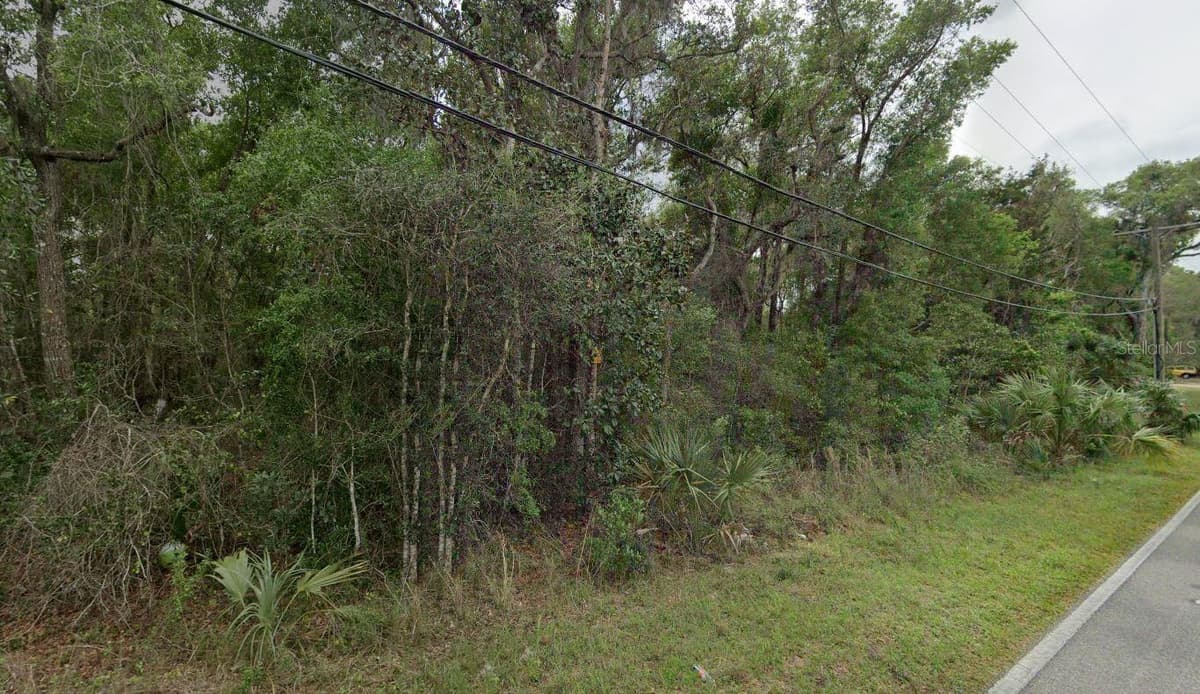 REYNOLDS ROAD — photo 1 of 7