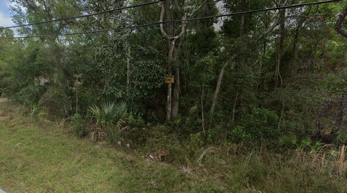 REYNOLDS ROAD — photo 2 of 7