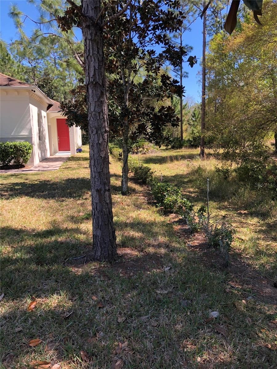 2301 AVELLINO AVENUE — photo 2 of 28