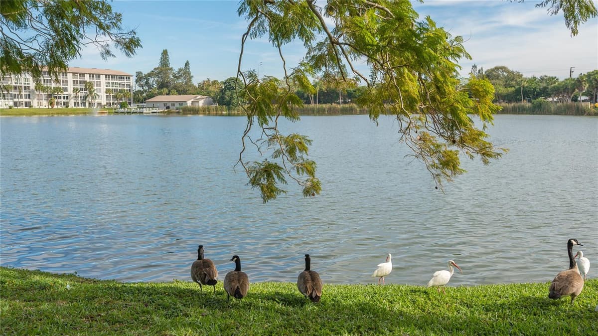3845 LAKE BAYSHORE DRIVE — photo 36 of 37