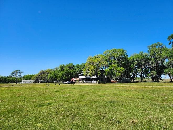 3650 LAKE TOHOPEKALIGA ROAD — photo 15 of 70