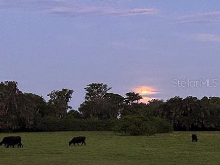 3650 LAKE TOHOPEKALIGA ROAD — photo 64 of 70
