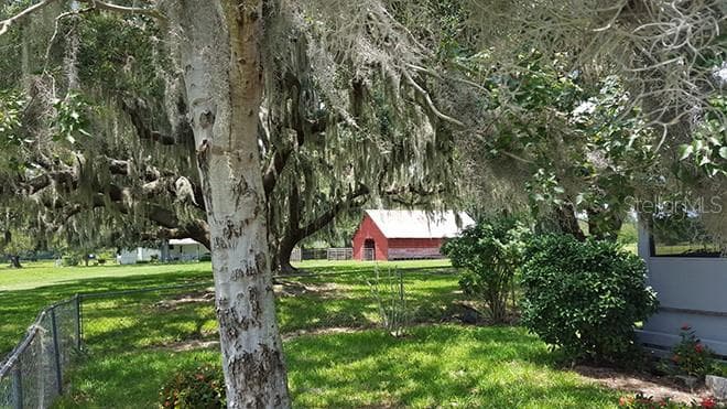 3650 LAKE TOHOPEKALIGA ROAD — photo 34 of 70