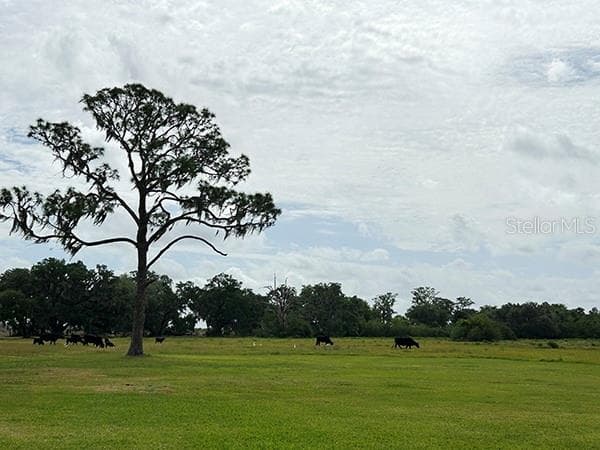 3650 LAKE TOHOPEKALIGA ROAD — photo 54 of 70