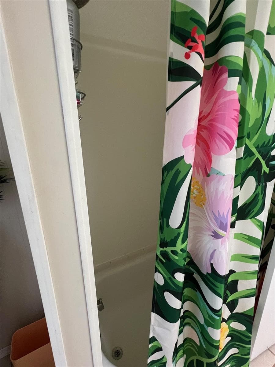 825 COCONUT PALM STREET — photo 28 of 30