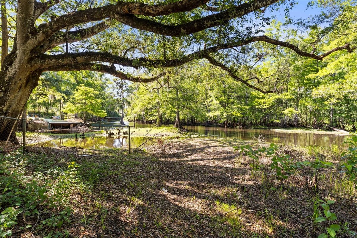 29133 LAWTON DRIVE — photo 33 of 40