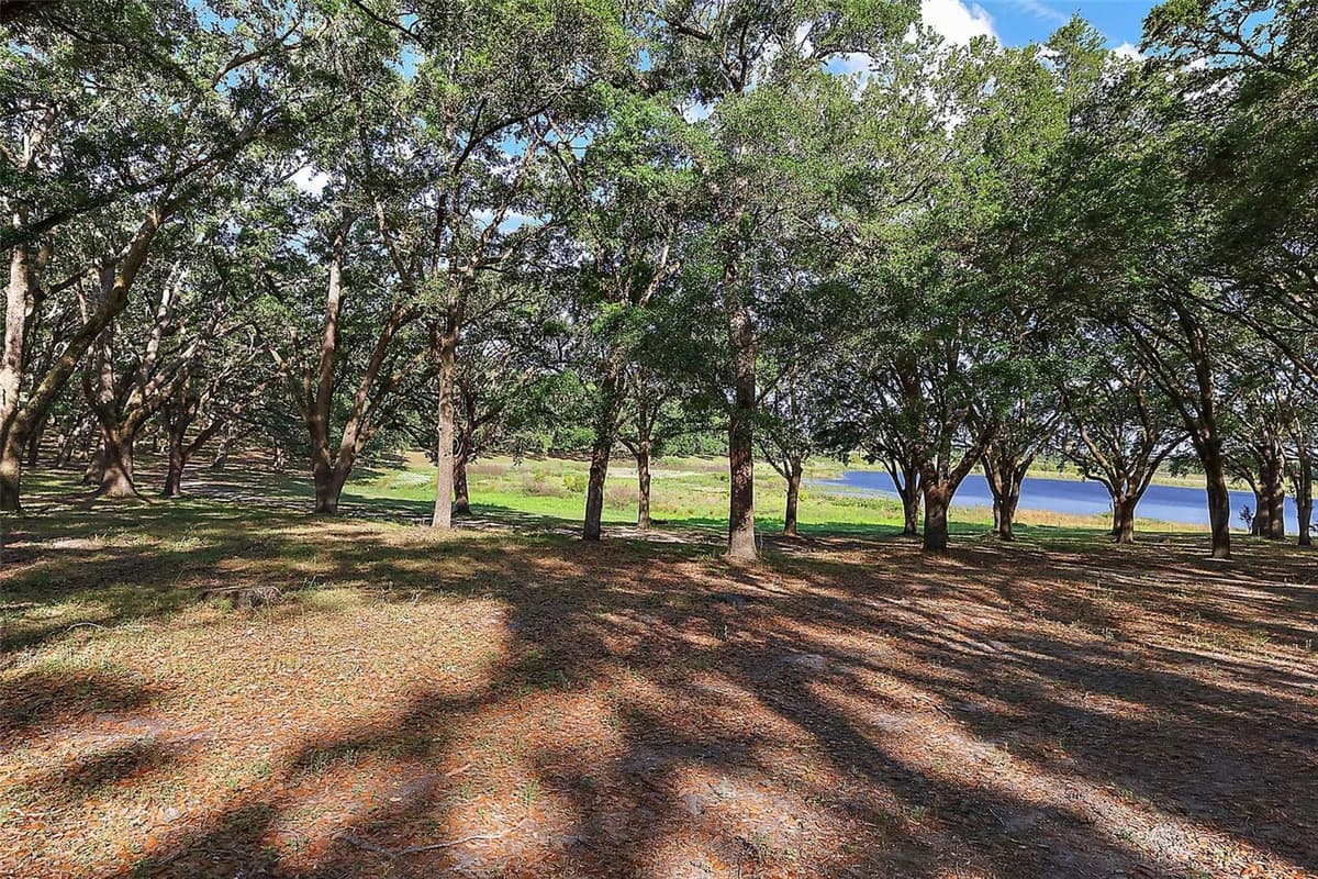 27011 HIGHWAY 42 — photo 27 of 46