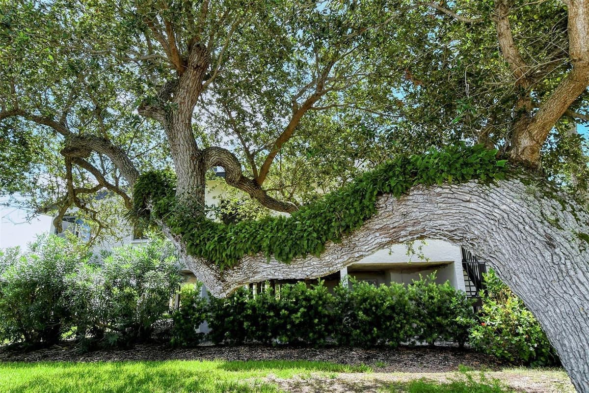 6285 MIDNIGHT PASS ROAD — photo 31 of 51