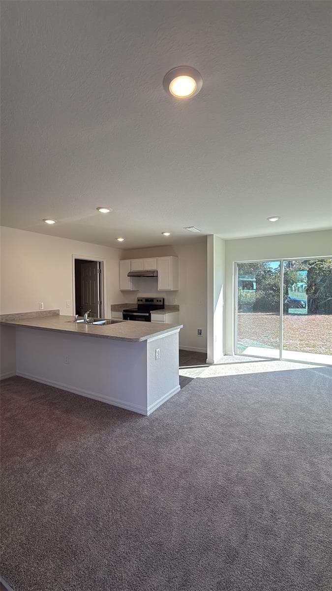 2638 ROCK CREEK DRIVE — photo 2 of 3