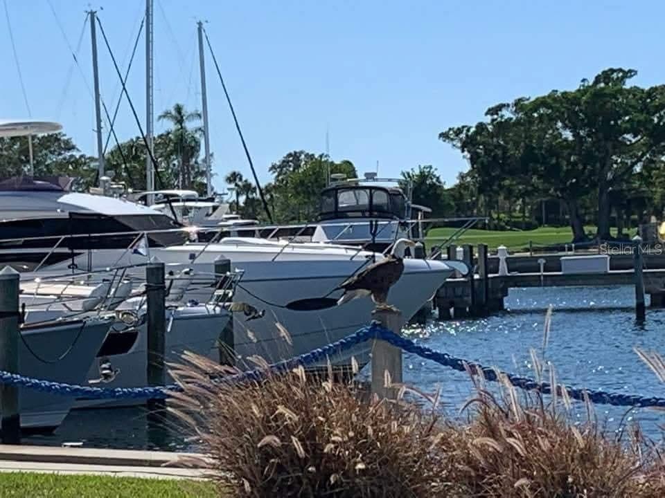 2600 HARBOURSIDE DRIVE — photo 9 of 18