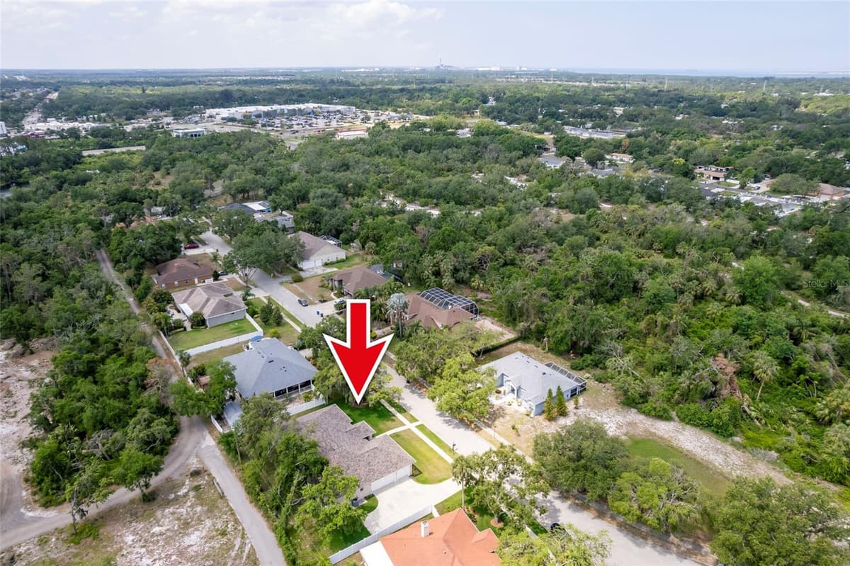 9908 ALAFIA RIVER LANE — photo 49 of 55