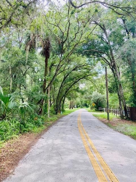 407 RAULERSON ROAD — photo 6 of 7