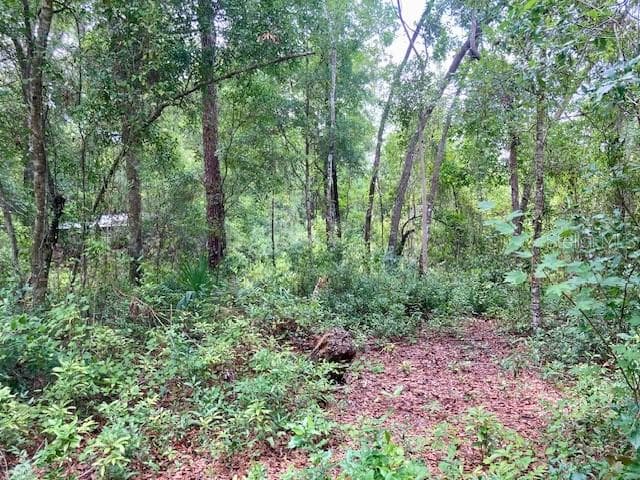 407 RAULERSON ROAD — photo 3 of 7